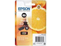 Bläck Epson 33XL 8,1ml fotosvart